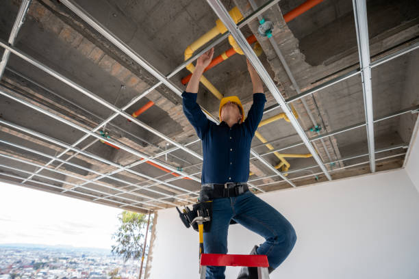 Best Emergency Plumbing Repair  in Ozk, AR