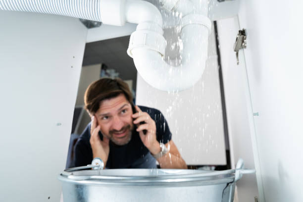Best Emergency Plumber  in Ozk, AR
