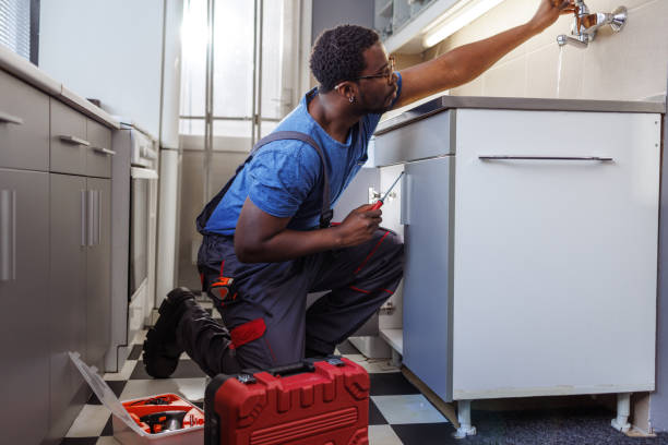 Best Affordable Plumbing Services  in Ozk, AR